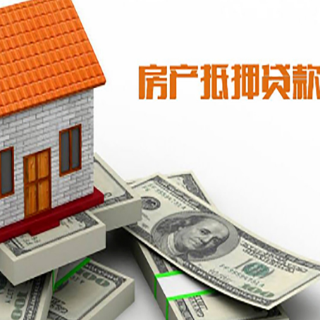 普安贷款公司新渝启服怎么选择